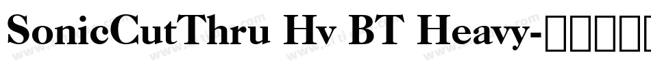 SonicCutThru Hv BT Heavy字体转换